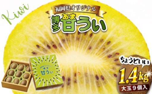 【先行予約】【2026年10月下旬より順次発送】福岡県キウイフルーツ「博多甘うぃ」化粧箱 大玉9玉