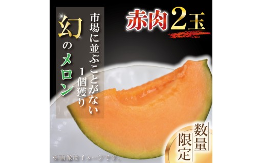 【2026年6月下旬より順次発送】【数量限定】1個獲り★幻のメロン　赤肉(2玉入り1箱)