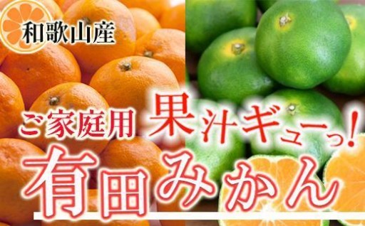 ［先行予約］家庭用 有田みかん10kg+250g