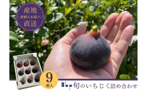 旬のいちじく詰め合わせ　 9個入り