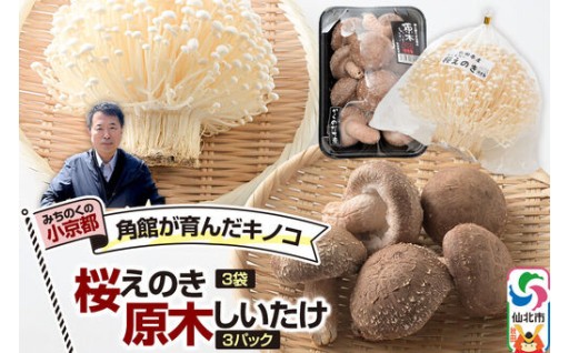 原木しいたけと桜えのきのキノコ2種詰合わせセット🍄🍄