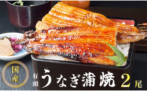 有頭うなぎ蒲焼き真空パック 約200g×2尾