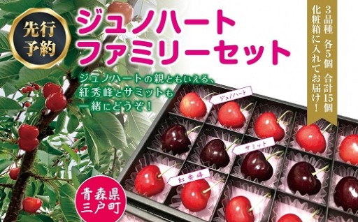 【食べ比べ3種】さくらんぼ ファミリーセット【ジュノハート・サミット・紅秀峰】（各5粒・全15粒）