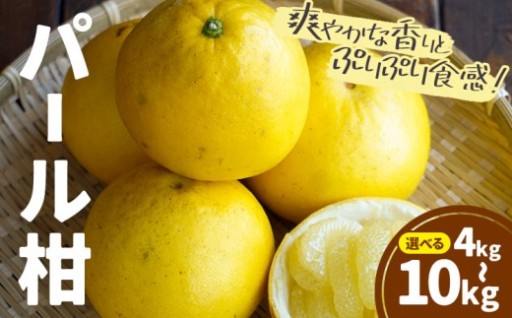 春が待ち遠しくなるパール柑をご紹介！