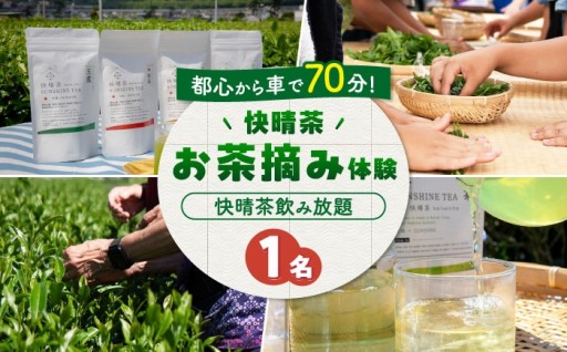 【茶畑で癒し体験】快晴茶お茶摘みチケット