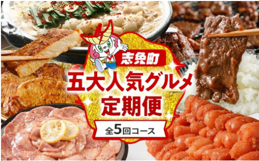 【月1回のお楽しみに❣️】五大人気 グルメ 定期便 通年 全5回🍴