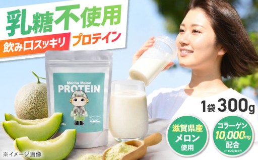 まるごとメロンのコラーゲン配合プロテイン