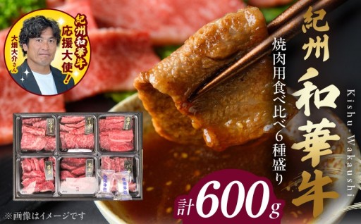 🥩✨【紀州和華牛 焼肉用 食べ比べ 6種盛り 600g】✨🥩