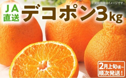 【先行予約受付開始📢】デコポン 3kg 【2月上旬頃から順次発送】🍊