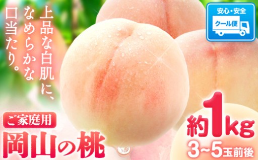【おうちで気軽に🍑】果汁溢れる完熟の味わい✨新鮮なうちに味わえるご家庭用 桃 
