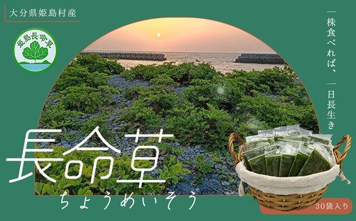 〈姫島村の自然が育てた健康習慣〉 長命草ペースト