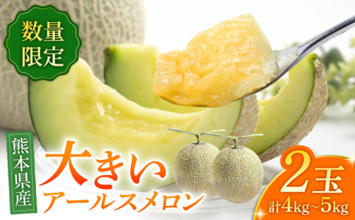 【数量限定】【先行予約】アールスメロン 約4kg〜5kg（4L〜5L）2玉入
