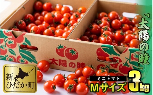 北海道産 ミニトマト 太陽の瞳 M サイズ 3kg