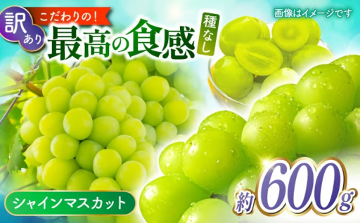 【先行予約】訳ありシャインマスカット約600g