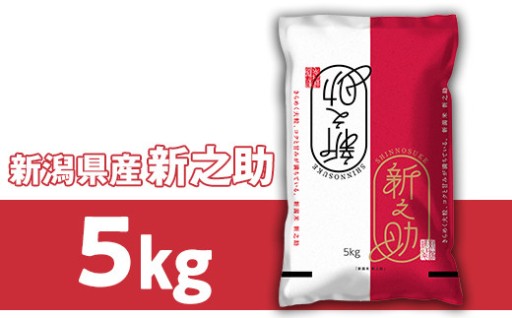 新潟県胎内市産 新之助（5kg）