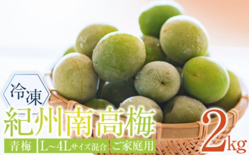 冷凍 紀州南高梅 青梅 約2kg L～4Lサイズ混合 ご家庭用