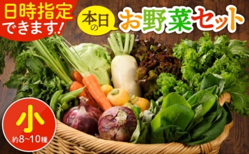 🥬 本日のお野菜セット〈小サイズ〉🥬