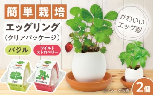 ＼たまごを割って育てる！？／ 瀬戸焼エッグリング