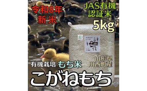＜令和8年産先行予約＞山形県川西町産 有機栽培もち米 こがねもち (精米) 5kg【1731862】
