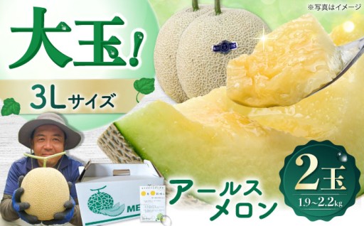 メロン一筋20年！とろける甘みの特選温室メロン♪