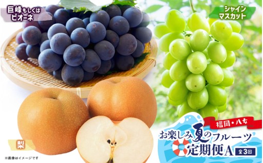 ＼🎐お楽しみ夏のフルーツ定期便 全3回🫧／