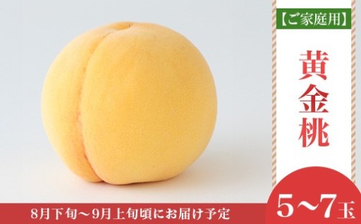 【ご家庭用】岡山県産 黄金桃（5～7玉）