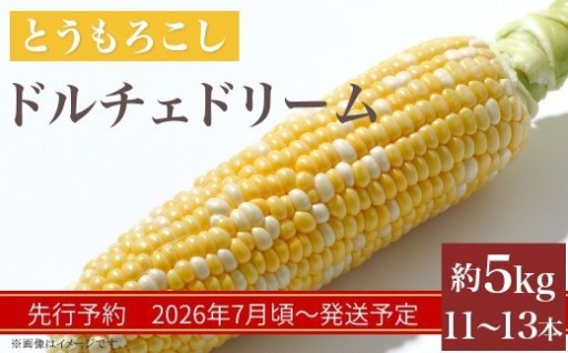 【先行予約】とうもろこし ドルチェドリーム（約5kg）