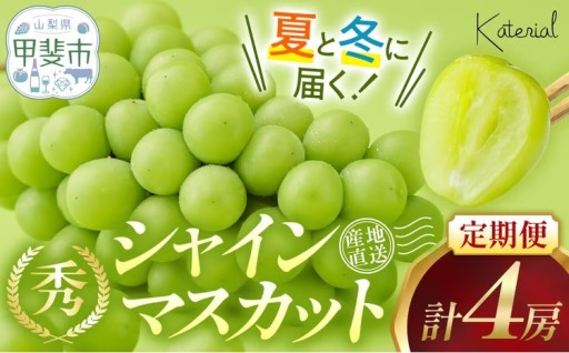 夏と冬に届くシャインマスカット 定期便 