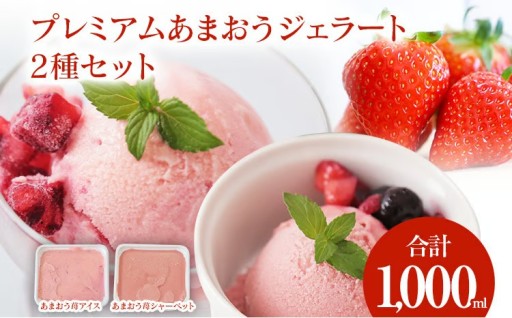 【ひんやりおいしい🍨】プレミアムあまおうジェラート2種セット 500ml×2