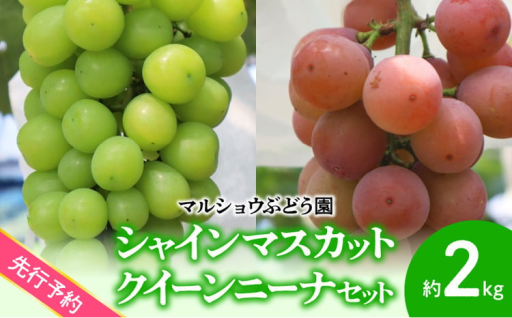 ✨先行予約✨　🍇 シャインマスカット、クイーンニーナセット🍇