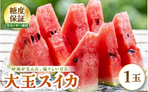 【先行予約】糖度保証11.5度以上の「大玉スイカ」🍉