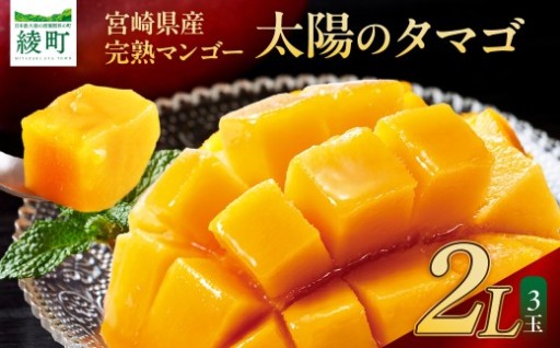 🥭 完熟マンゴー「太陽のタマゴ」🥭