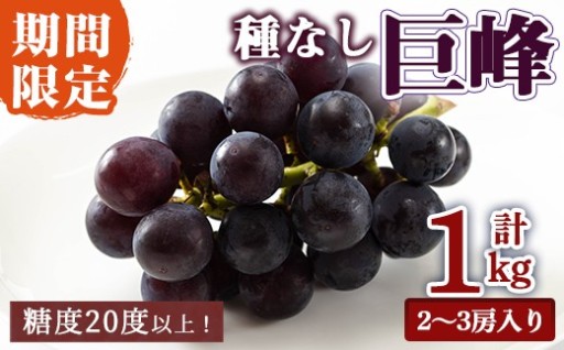 種なし巨峰1kg［2～3房入り］