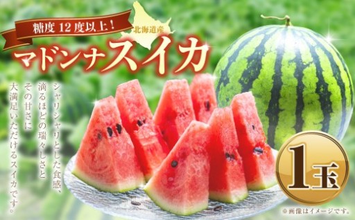 【6月15日まで！】マドンナスイカ 1玉 （2～3Lサイズ）