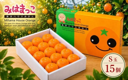 みはまっこ （S玉/15個） 平詰化粧箱