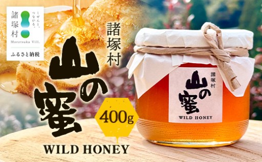 ニホンミツバチのはちみつ 山の蜜 400g×1本