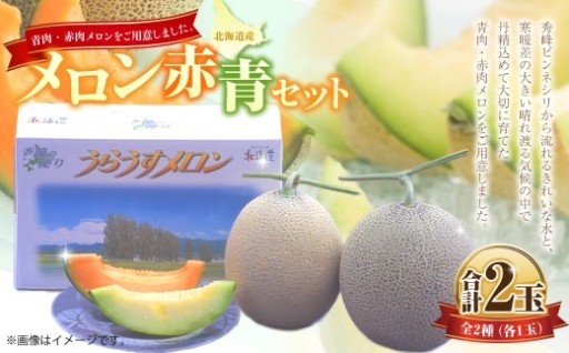【6月15日まで！】メロン 赤・青セット （1玉 約1.6kg）