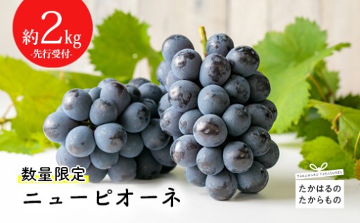 お待たせいたしました🎉 ニューピオーネ受付開始🎉