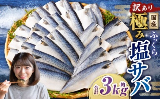 【訳あり】国産 ふっくら 極み塩サバ 計約3kg