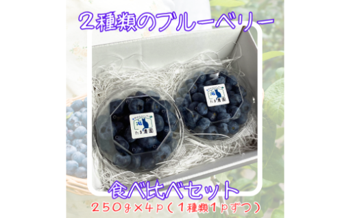 ７・８月限定！完熟ブルーベリー２種類食べ比べセット！