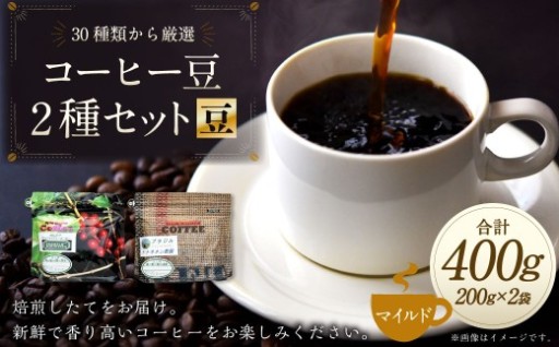 コーヒー豆 2種類 セット 【豆】（マイルドセット）