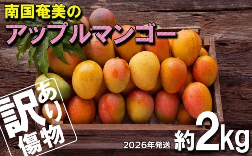 南国奄美のアップルマンゴー 傷物・訳あり 約2kg【2026年発送】 