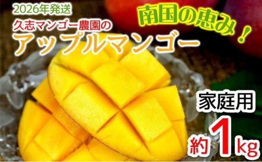 【2026年発送】久志マンゴー農園のアップルマンゴー家庭用（約1kg）