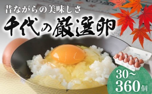 こだわりぬいた卵がふるさと納税に登場