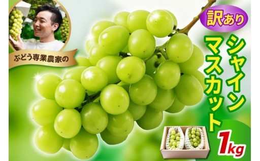 ✨🍇【先行予約】 令和8年産 訳あり シャインマスカット 1kg🍇✨