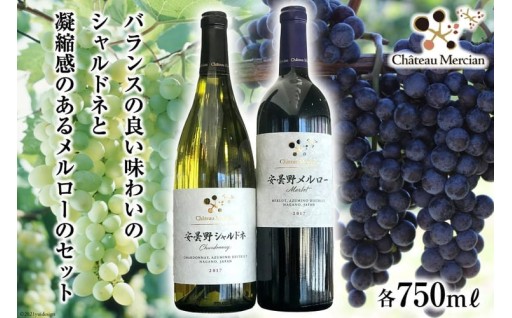 バランスの良いのシャルドネと凝縮感のあるメルロー
