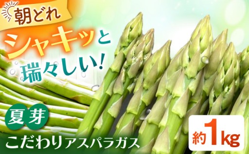 朝採れ直送！甘くやわらか夏のアスパラ