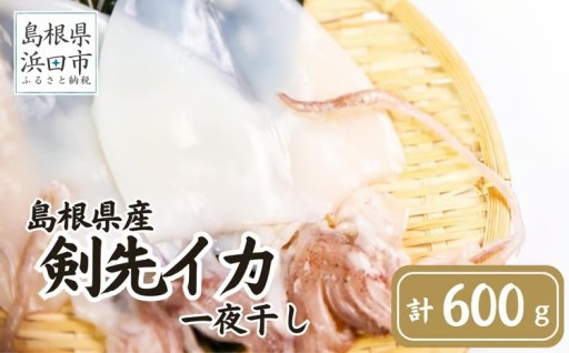 山陰名物🦑ケンサキイカ一夜干し🦑