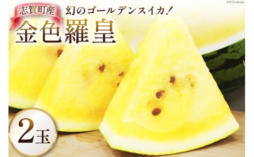 志賀町が誇る金色羅皇を2玉セットでお届け!