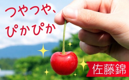 【6月14日で受付終了！】大粒のつやつやぴかぴかさくらんぼ